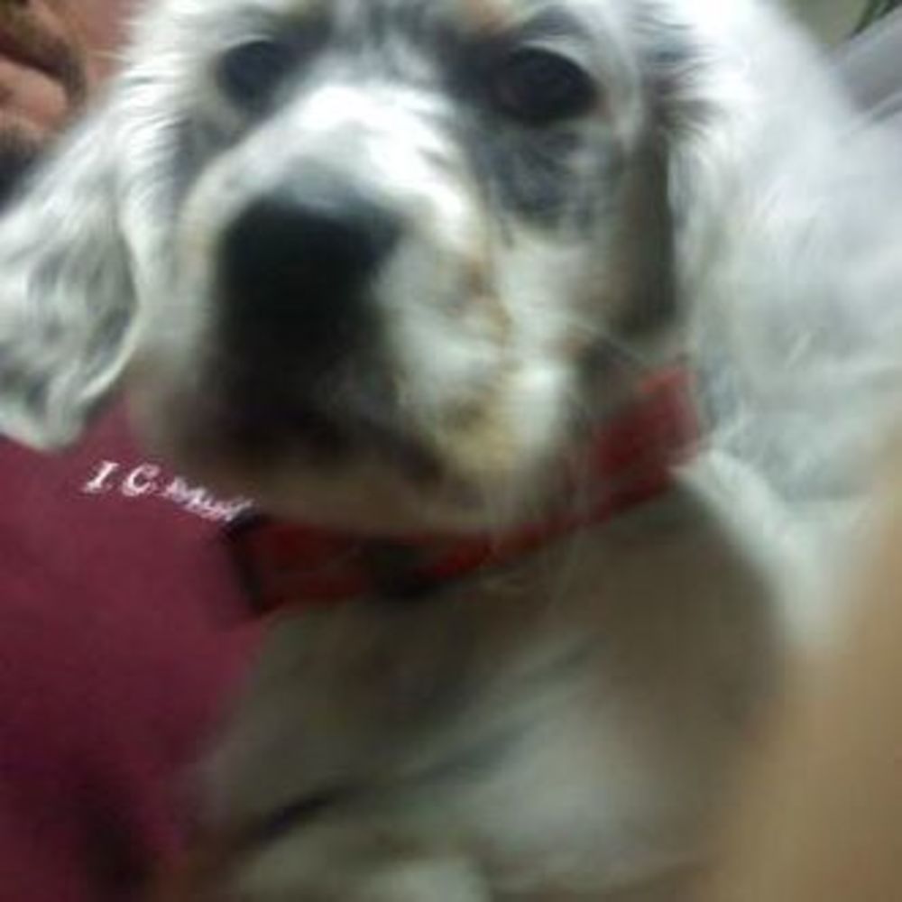 Meet your Posher, Peggy